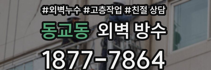 동교동 외벽 방수