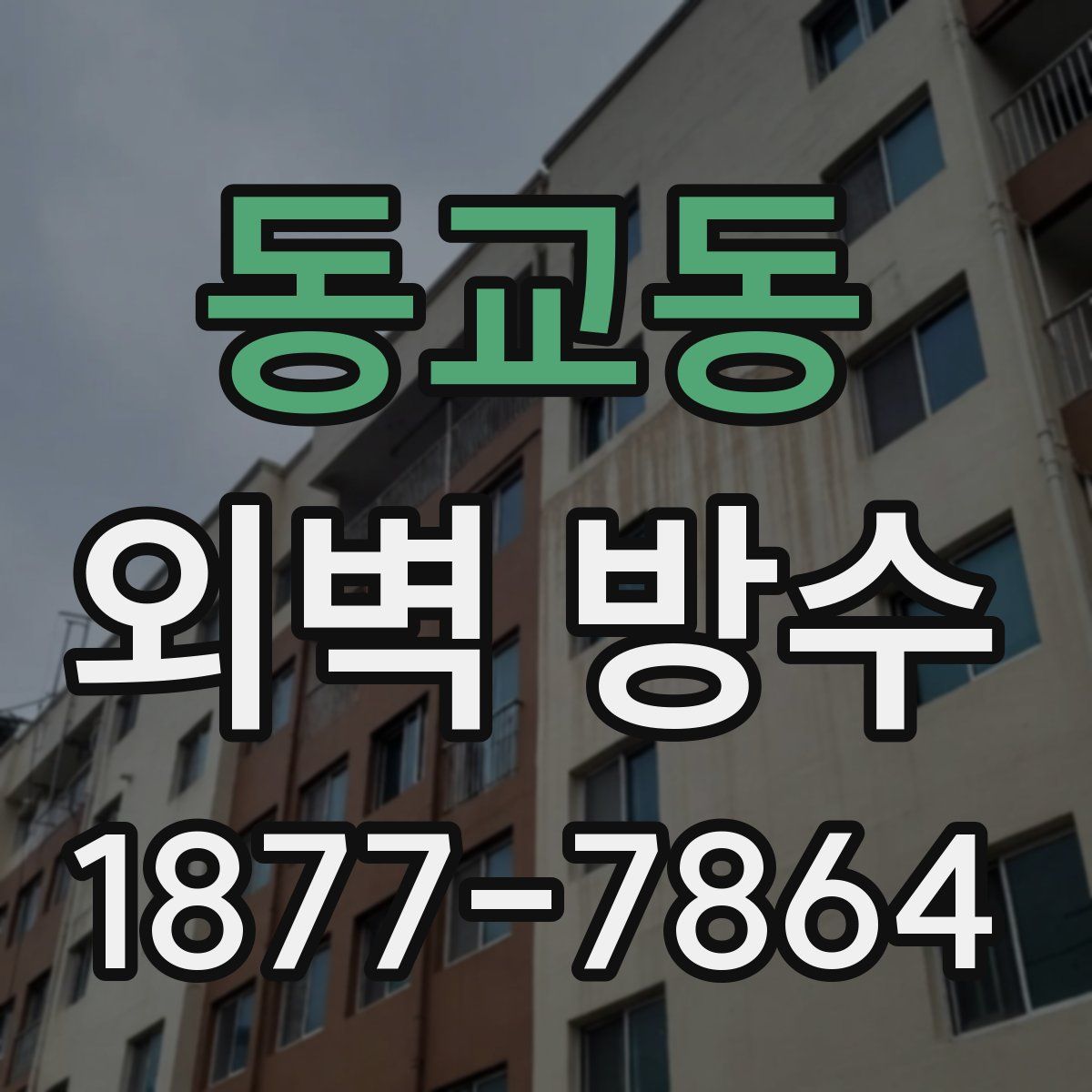 동교동 외벽 방수