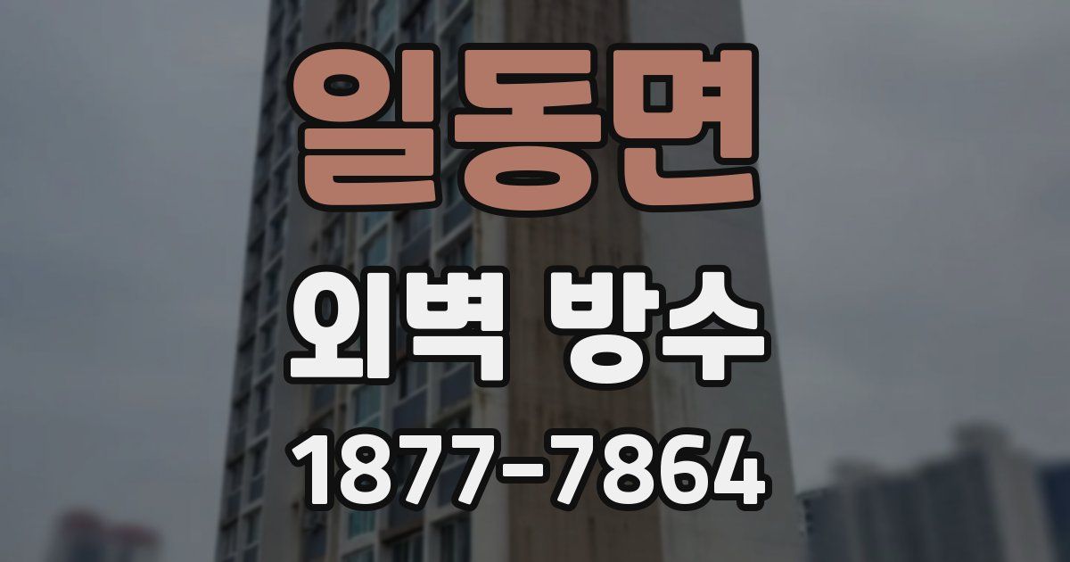 일동면 외벽 방수