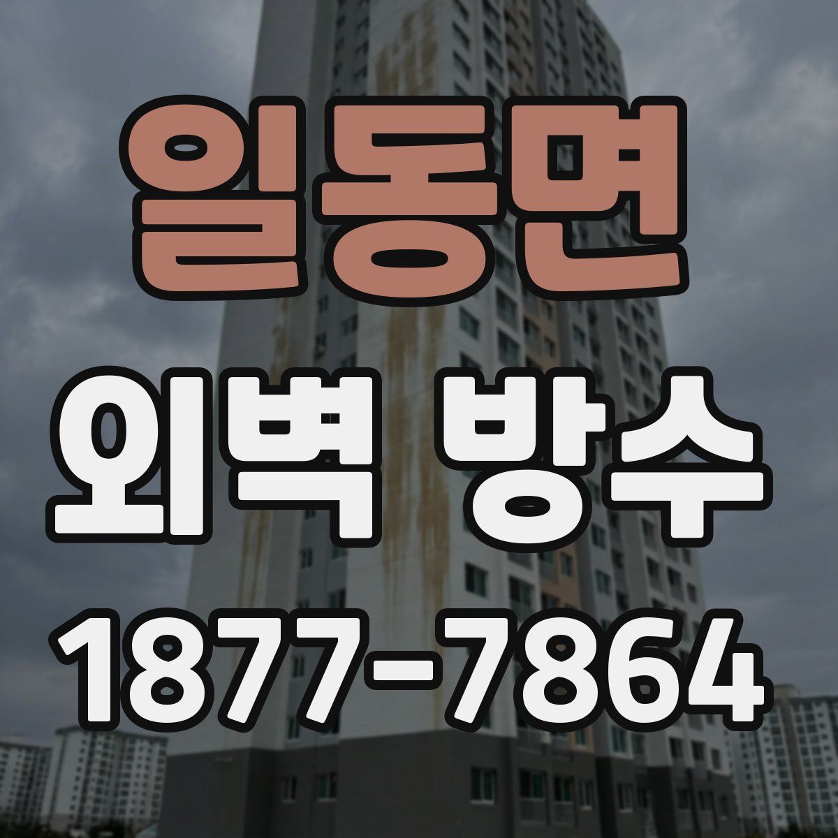 일동면 외벽 방수