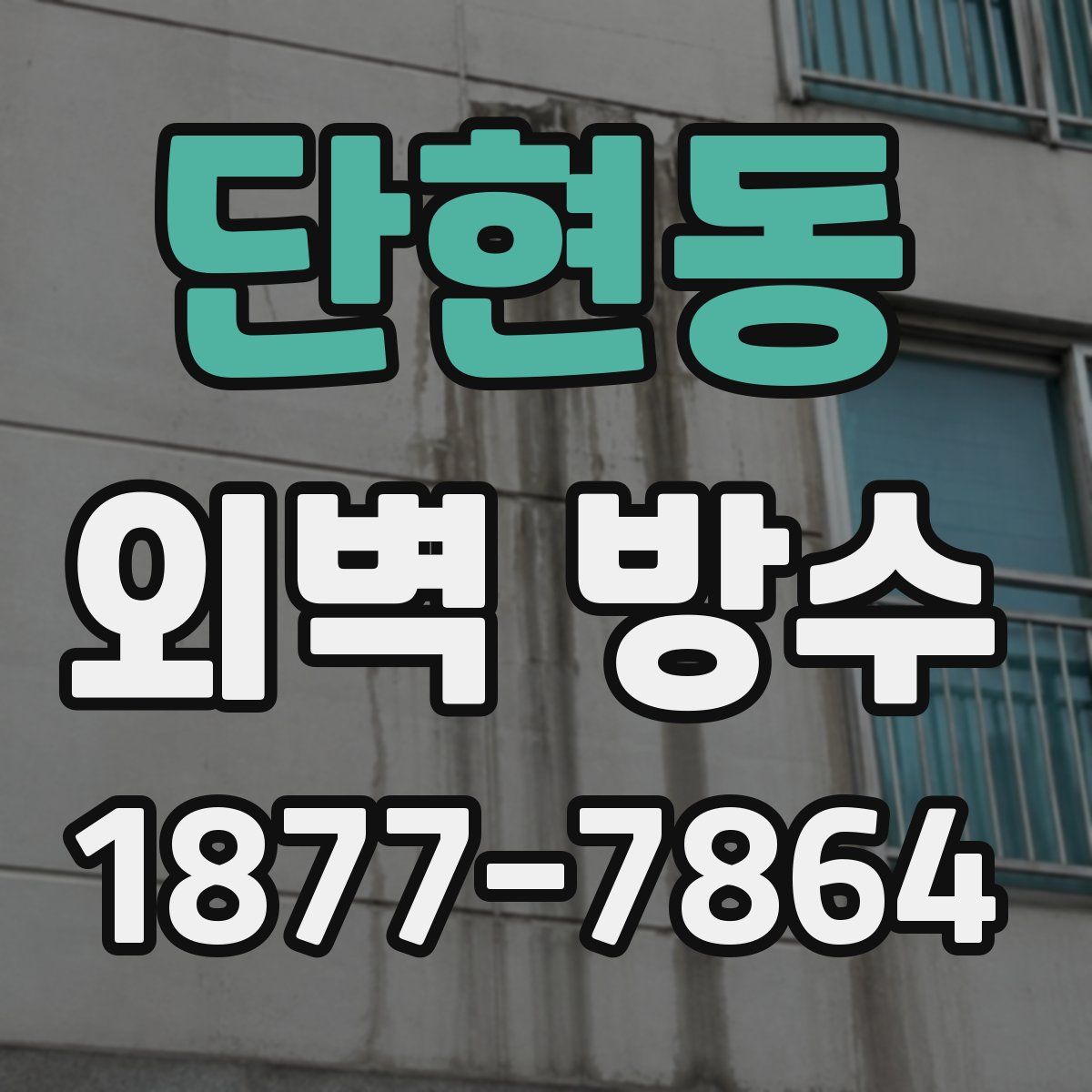 단현동 외벽 방수