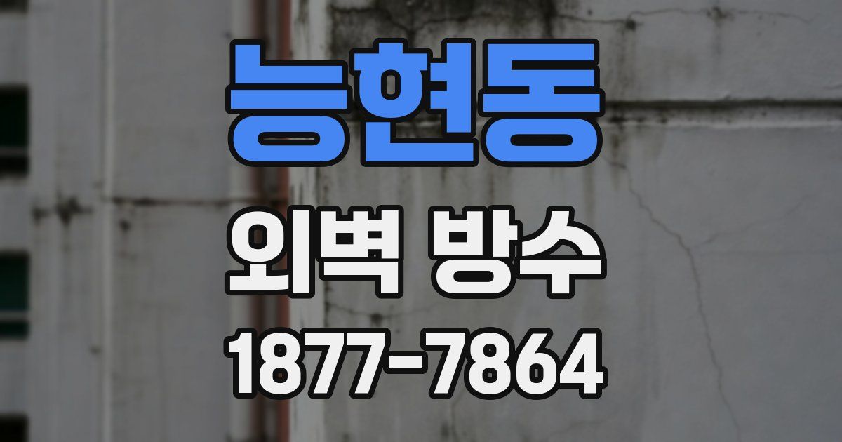 능현동 외벽 방수