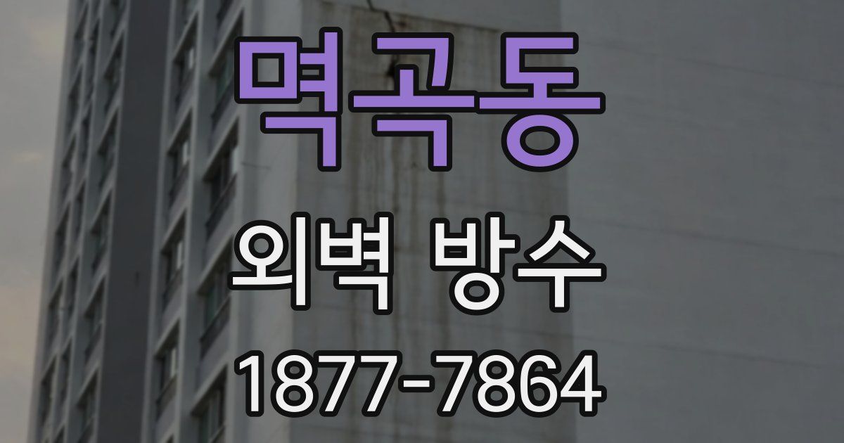 멱곡동 외벽 방수