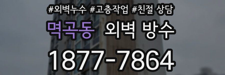 멱곡동 외벽 방수
