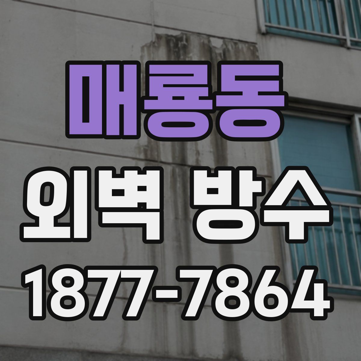 매룡동 외벽 방수