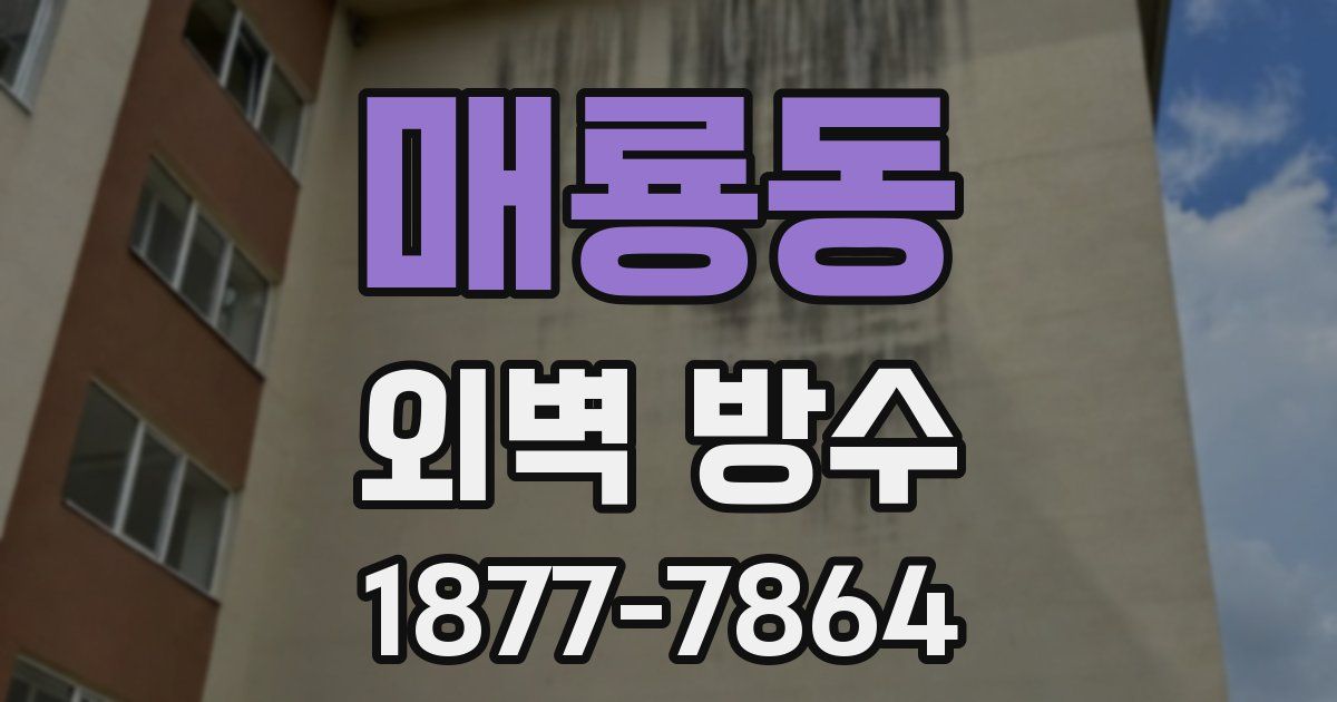매룡동 외벽 방수