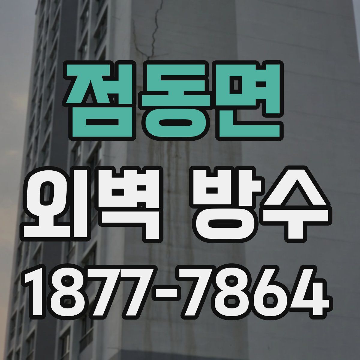 점동면 외벽 방수