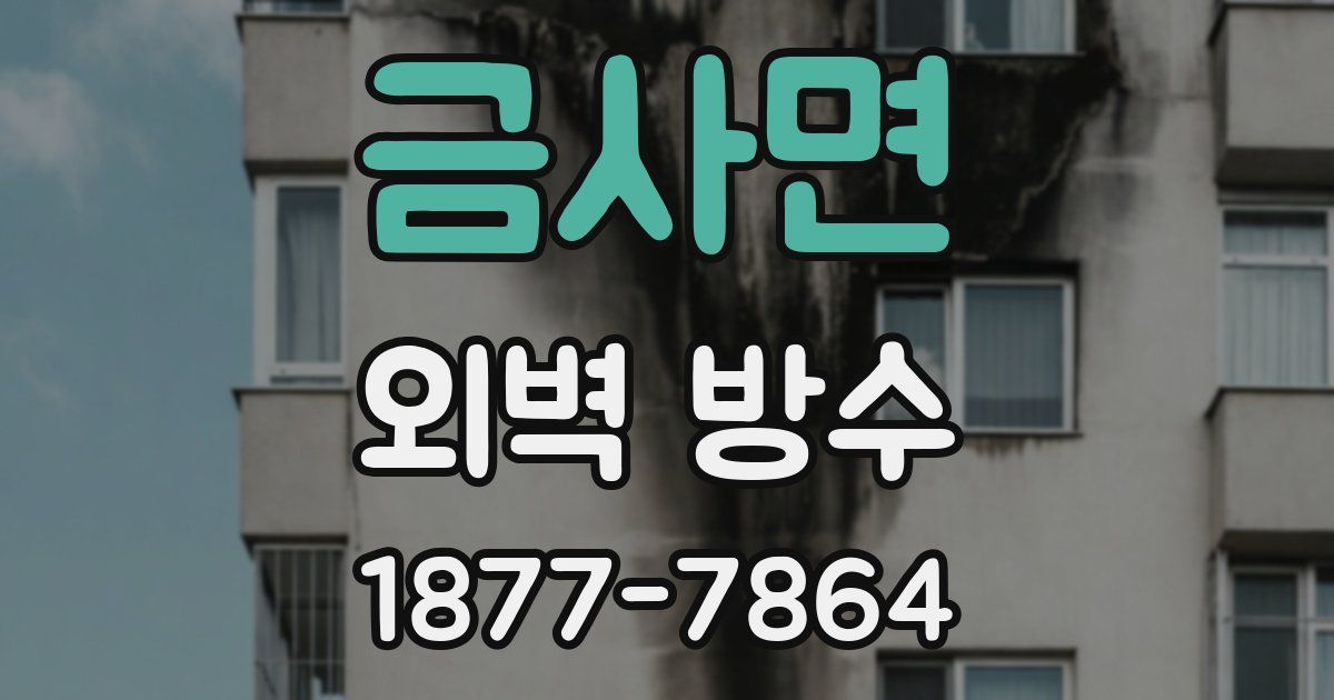 금사면 외벽 방수