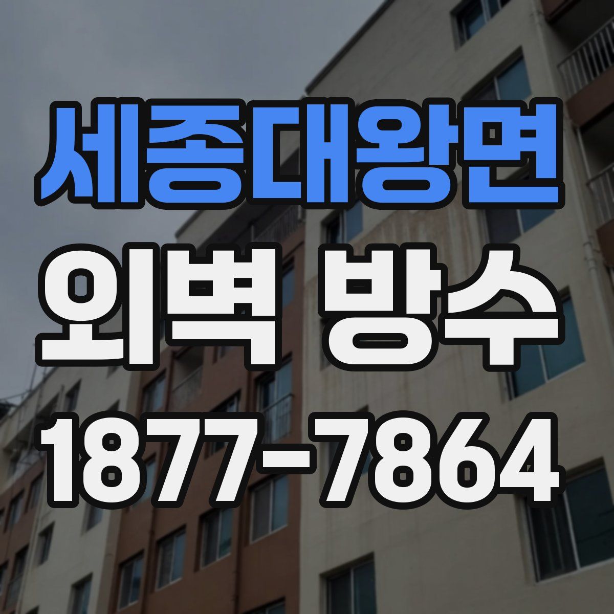 세종대왕면 외벽 방수
