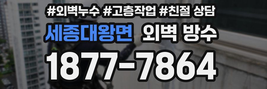 세종대왕면 외벽 방수