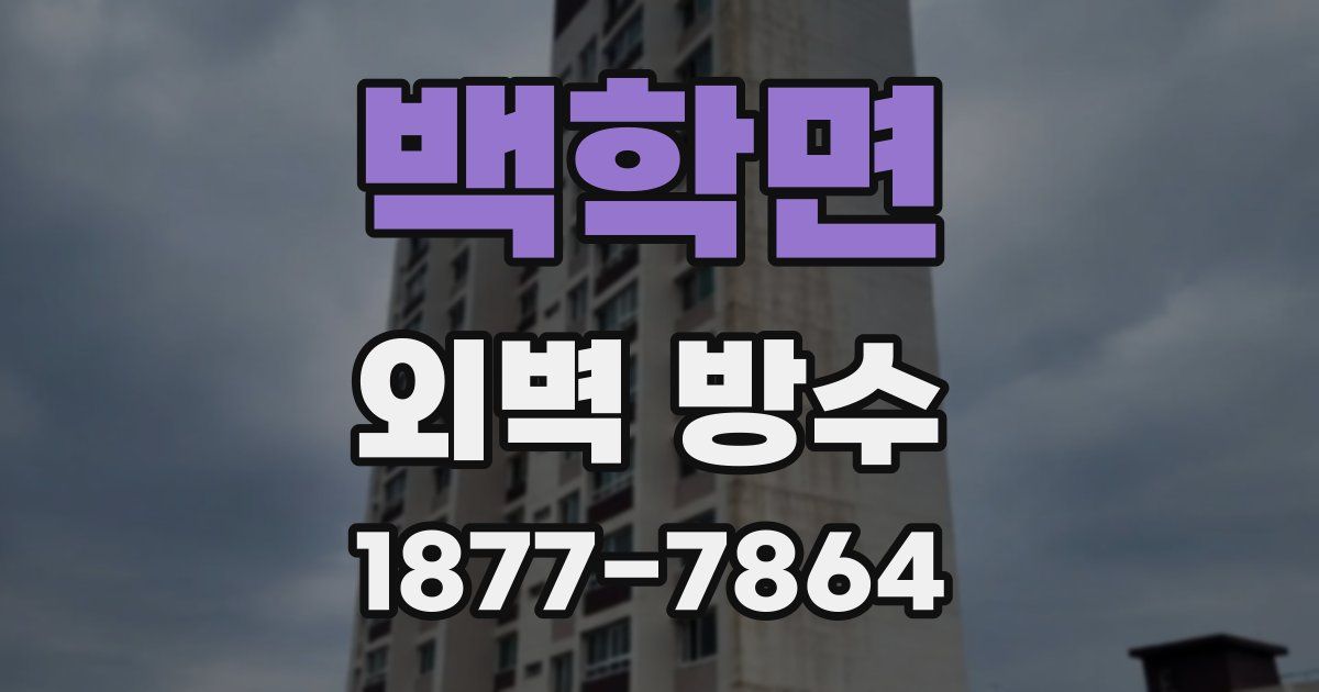 백학면 외벽 방수