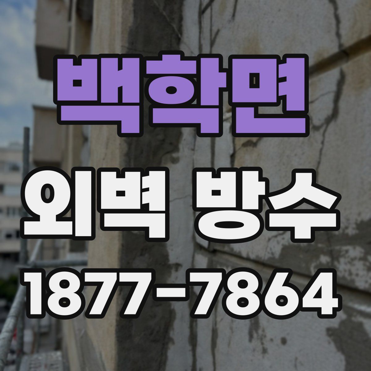 백학면 외벽 방수
