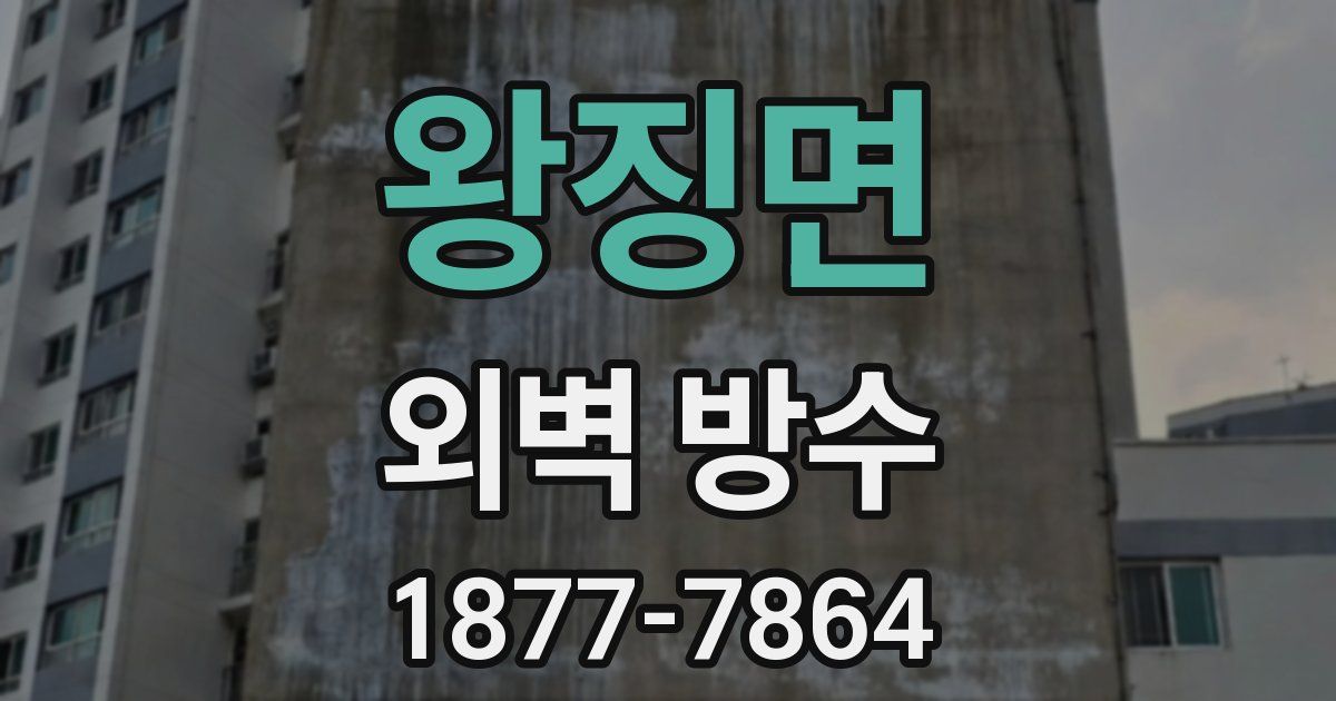왕징면 외벽 방수