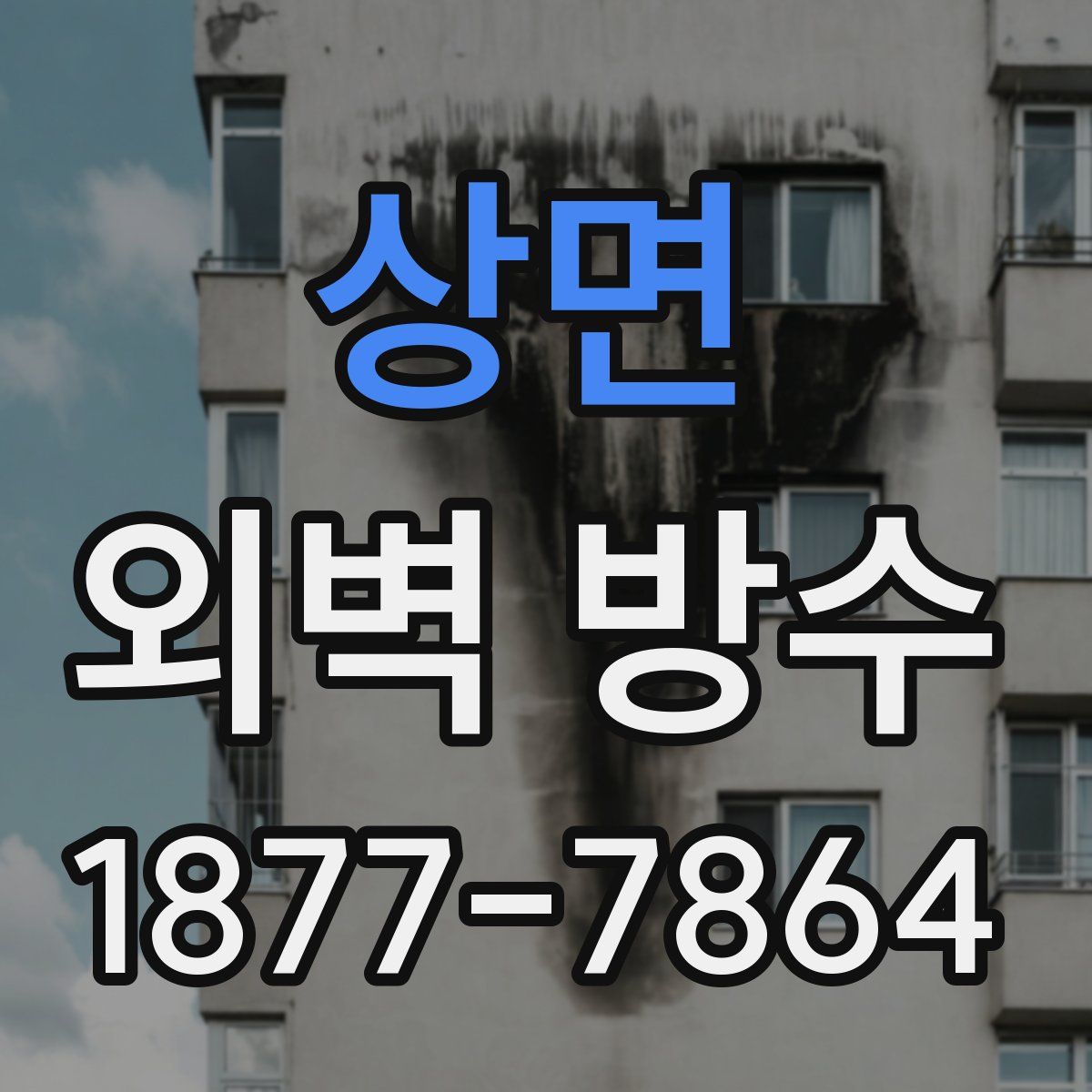 상면 외벽 방수