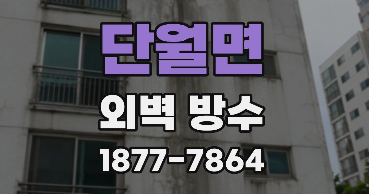 단월면 외벽 방수