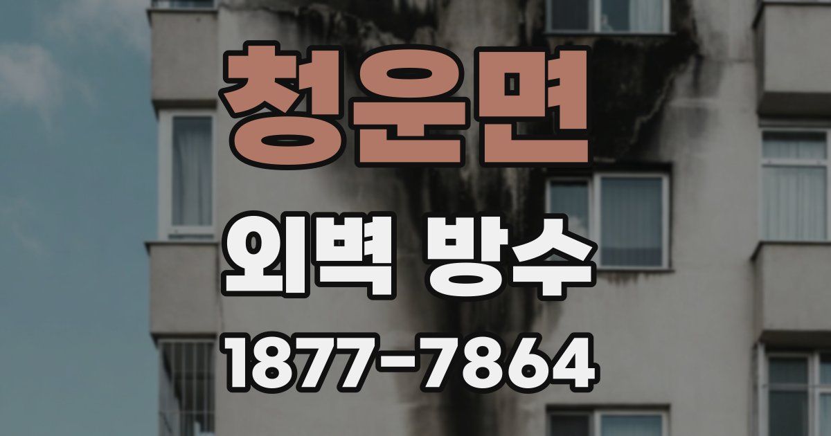 청운면 외벽 방수