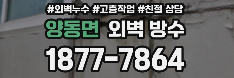 양동면 외벽 방수