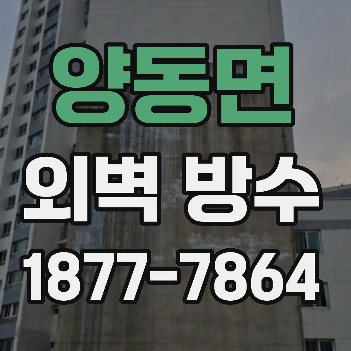 양동면 외벽 방수