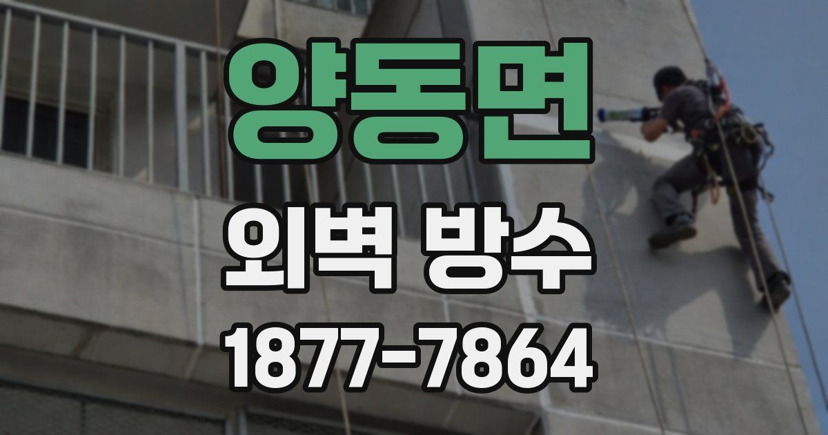 양동면 외벽 방수