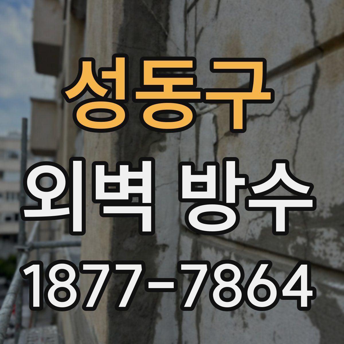 성동구 외벽 방수