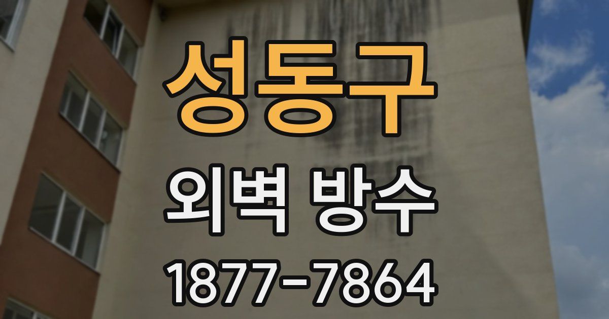 성동구 외벽 방수