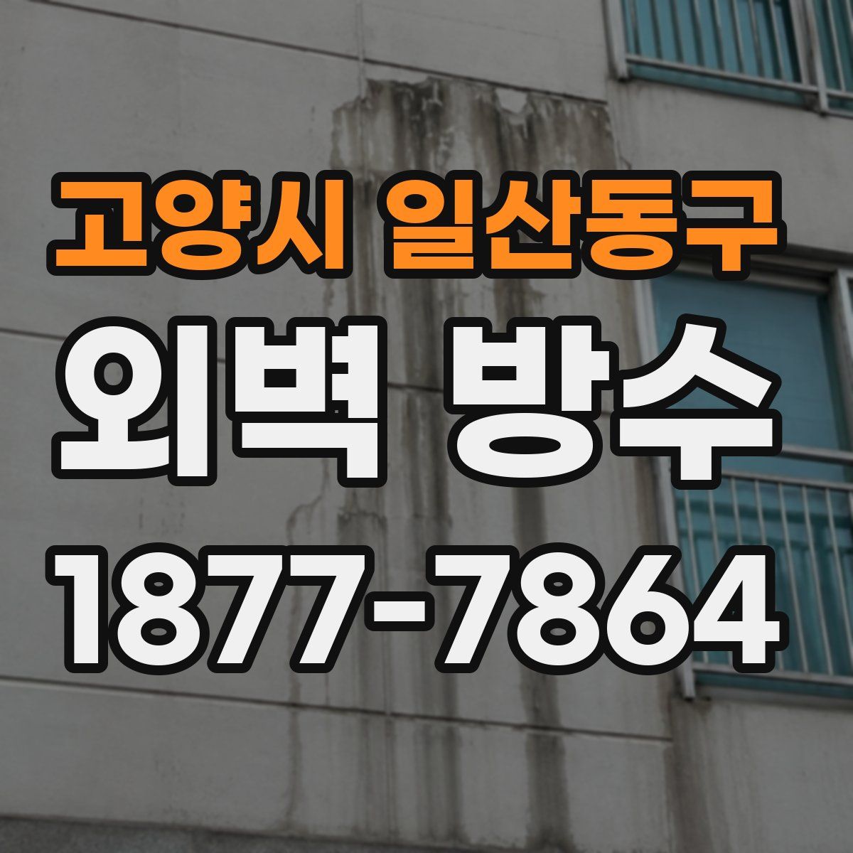 고양시 일산동구 외벽 방수