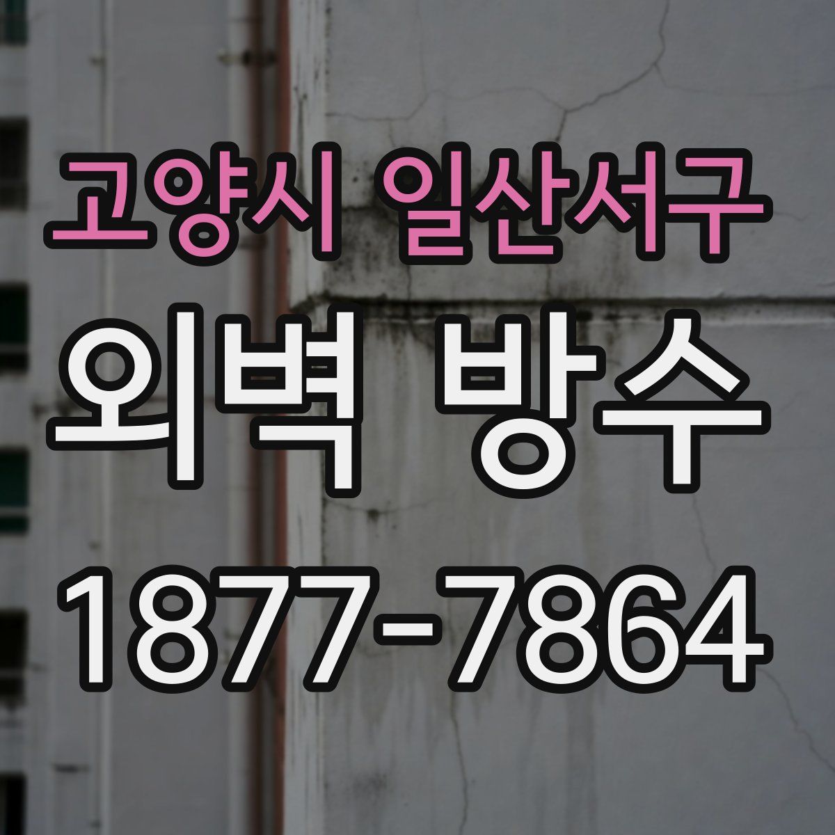 고양시 일산서구 외벽 방수