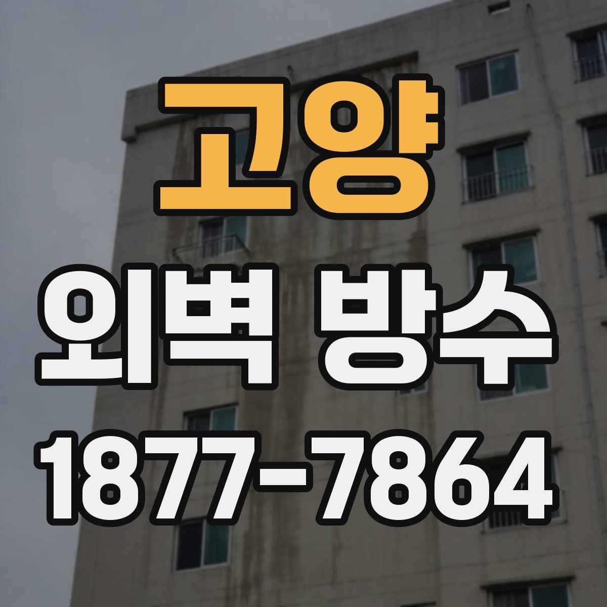 고양 외벽 방수