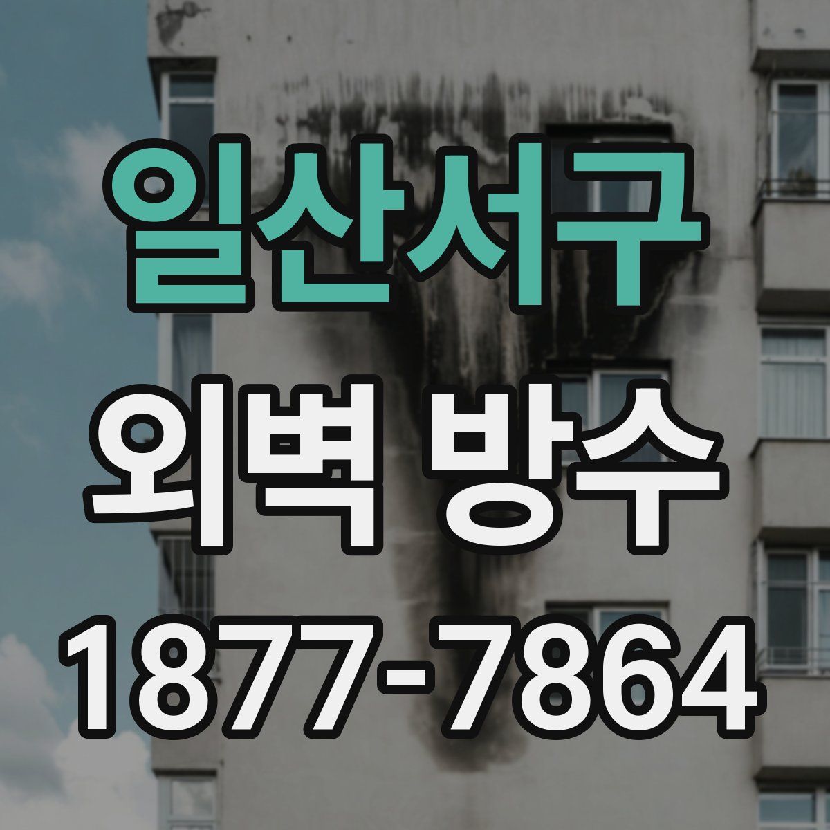 일산서구 외벽 방수