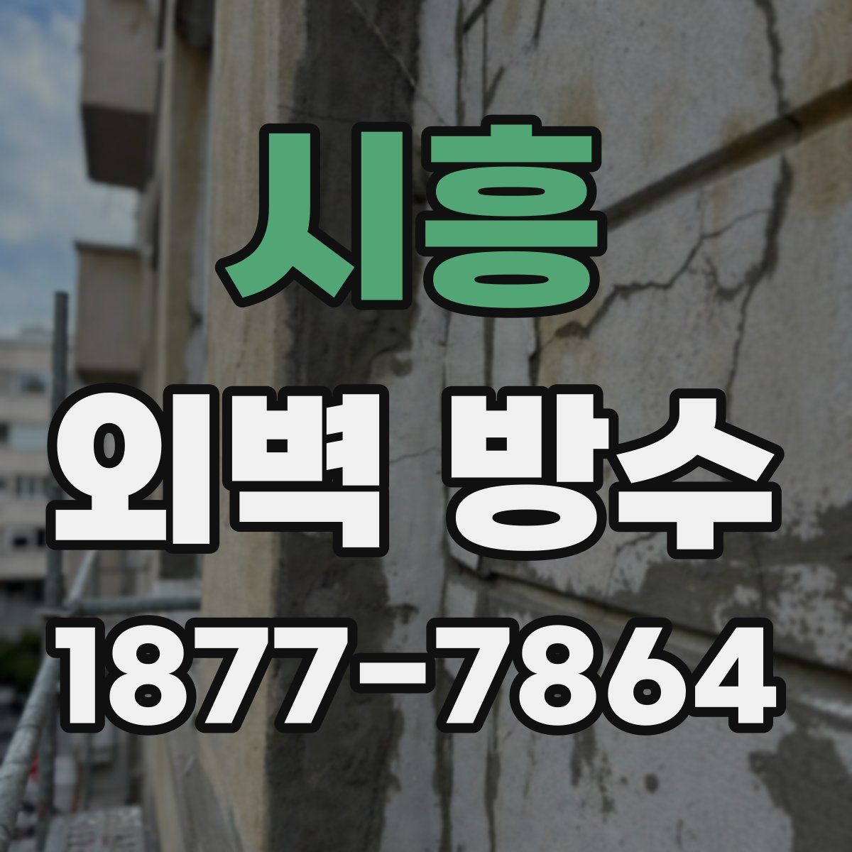 시흥 외벽 방수