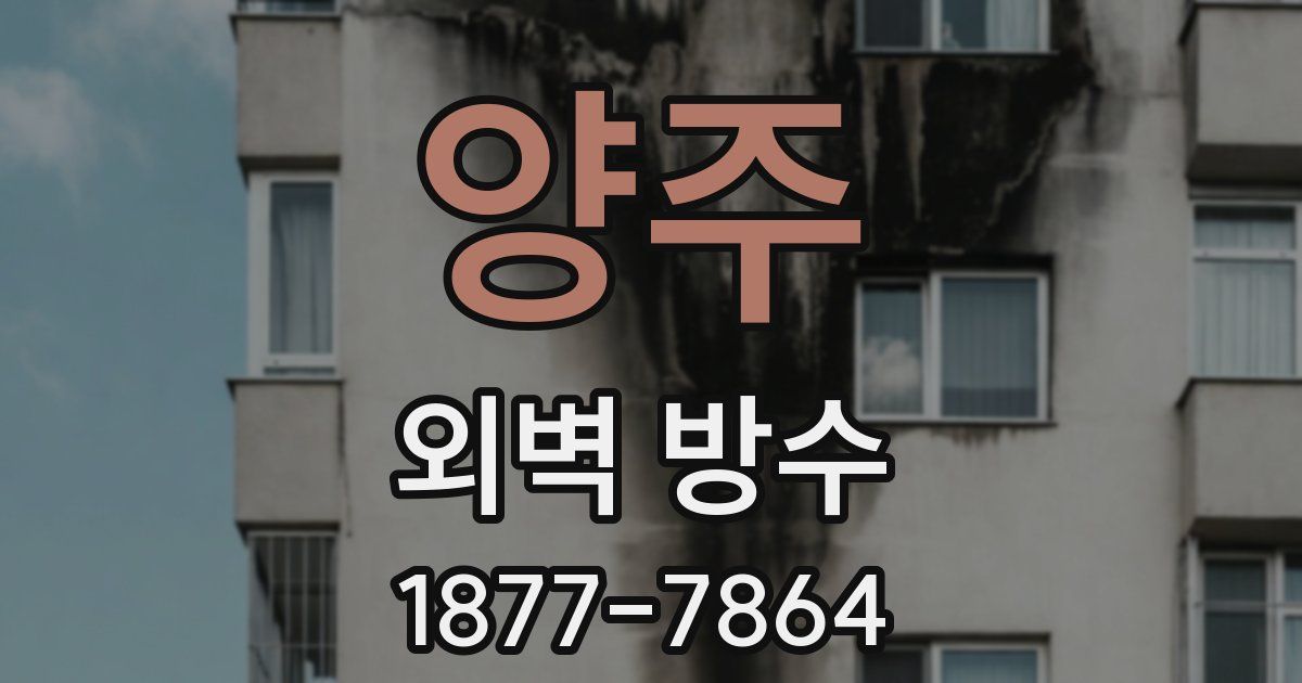 양주 외벽 방수