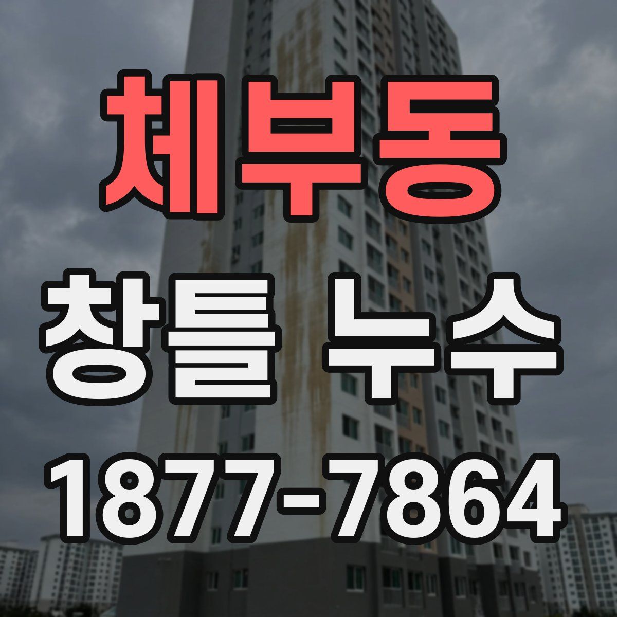 체부동 창틀 누수
