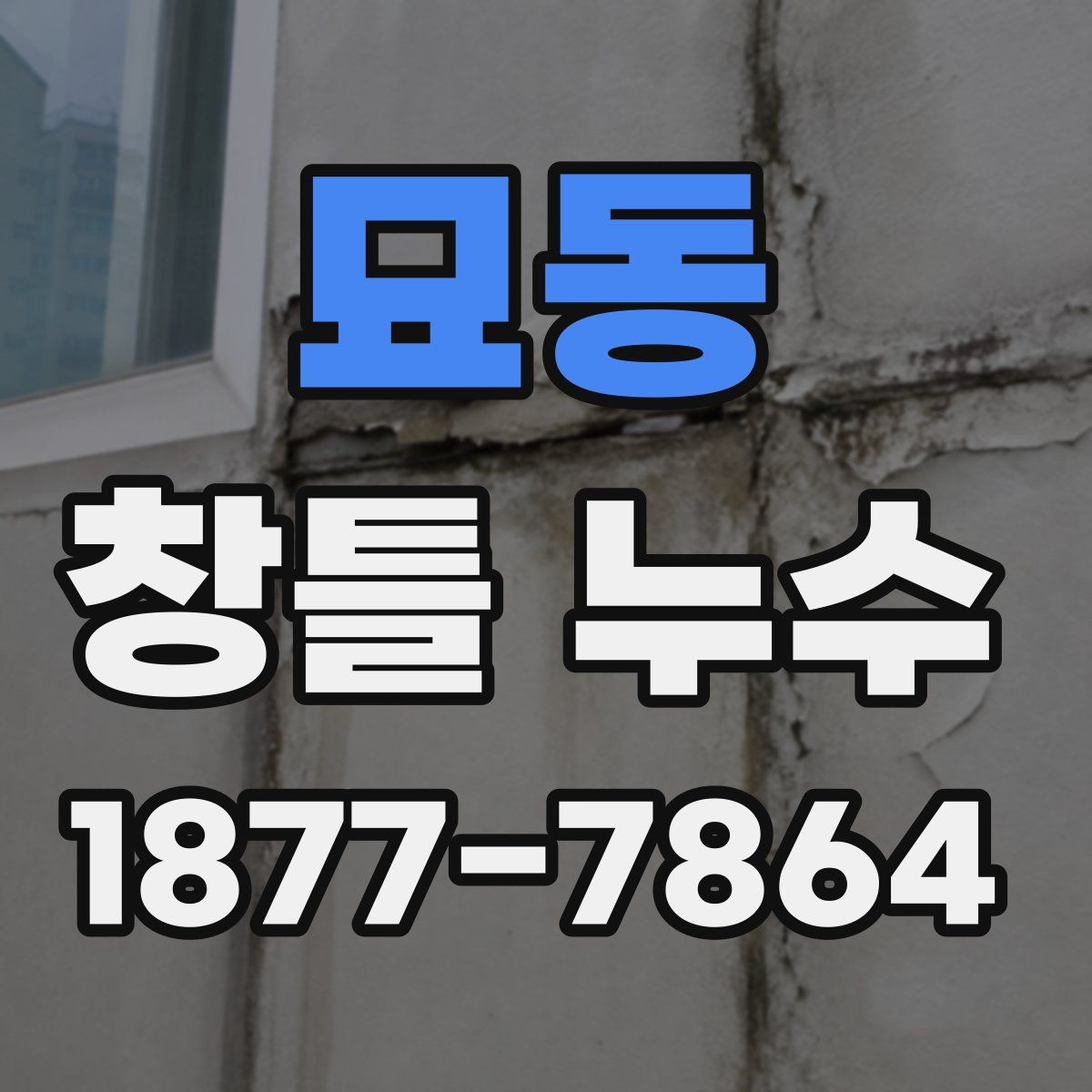 묘동 창틀 누수 원인을 놓치지 않는 검사 방법
