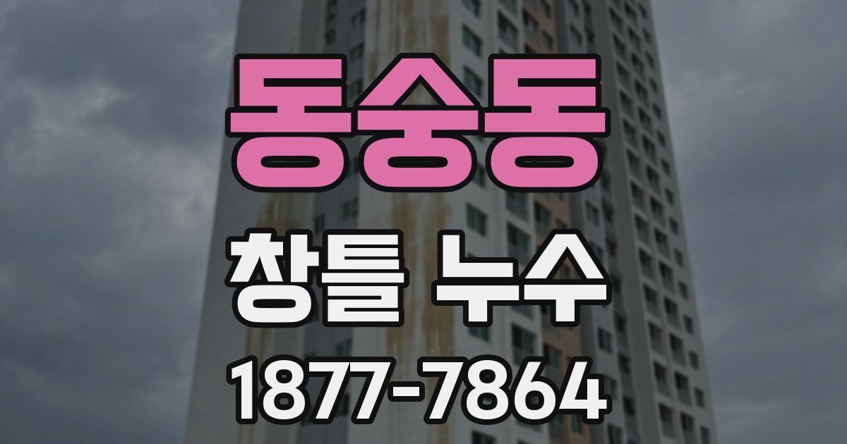 동숭동 창틀 누수