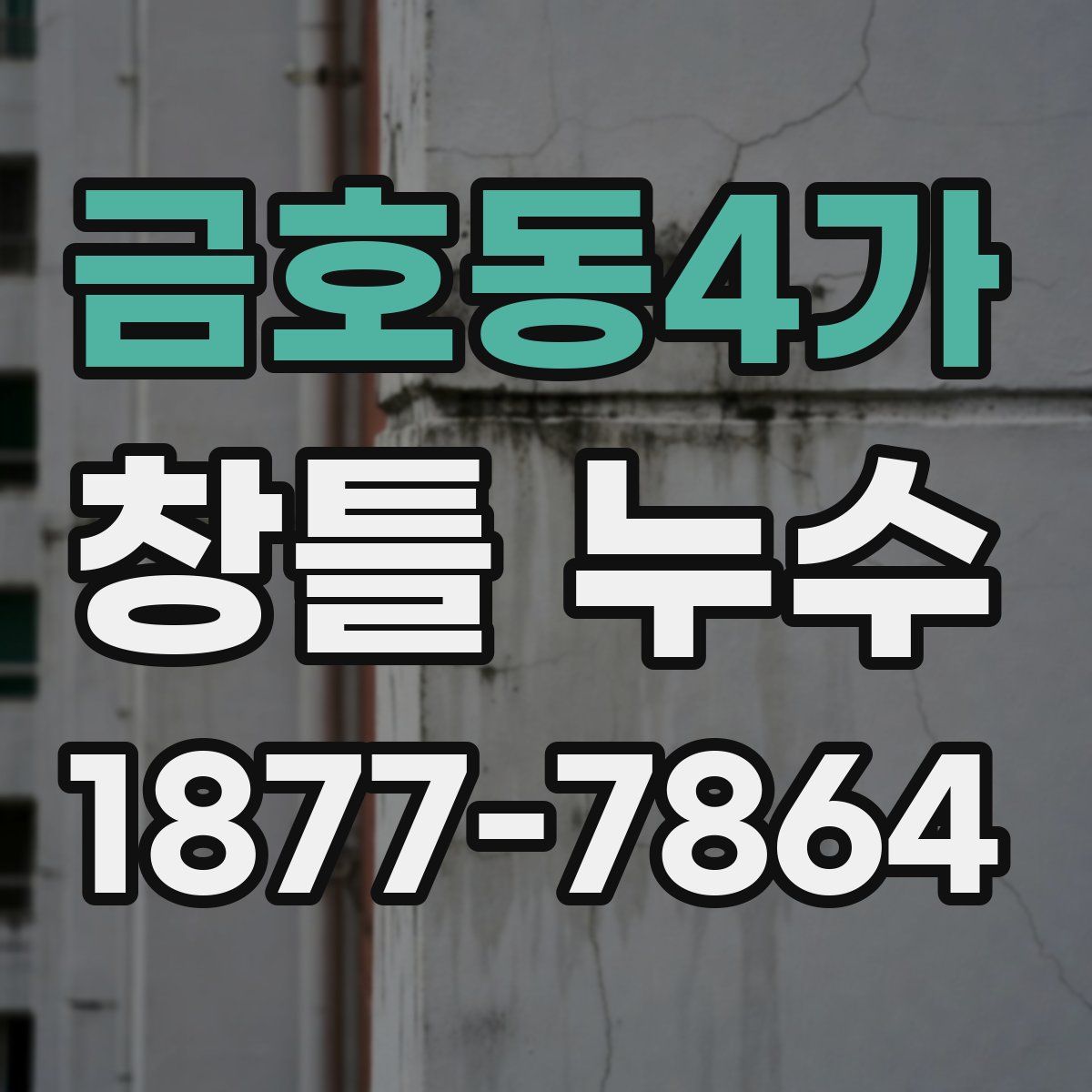 금호동4가 창틀 누수