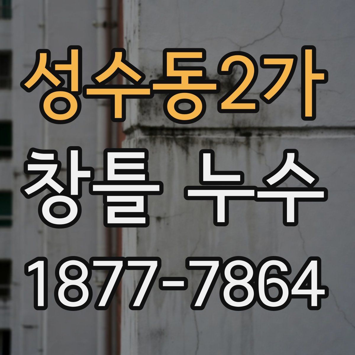 성수동2가 창틀 누수 단순 실리콘 문제인지 확인하기