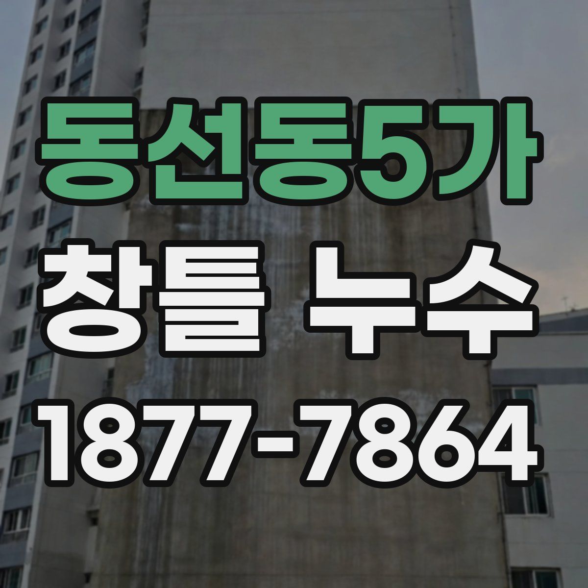 동선동5가 창틀 누수