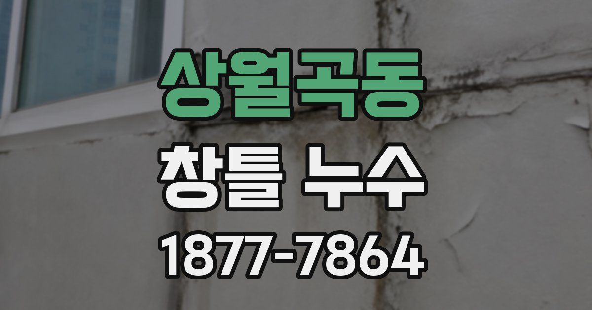 상월곡동 창틀 누수