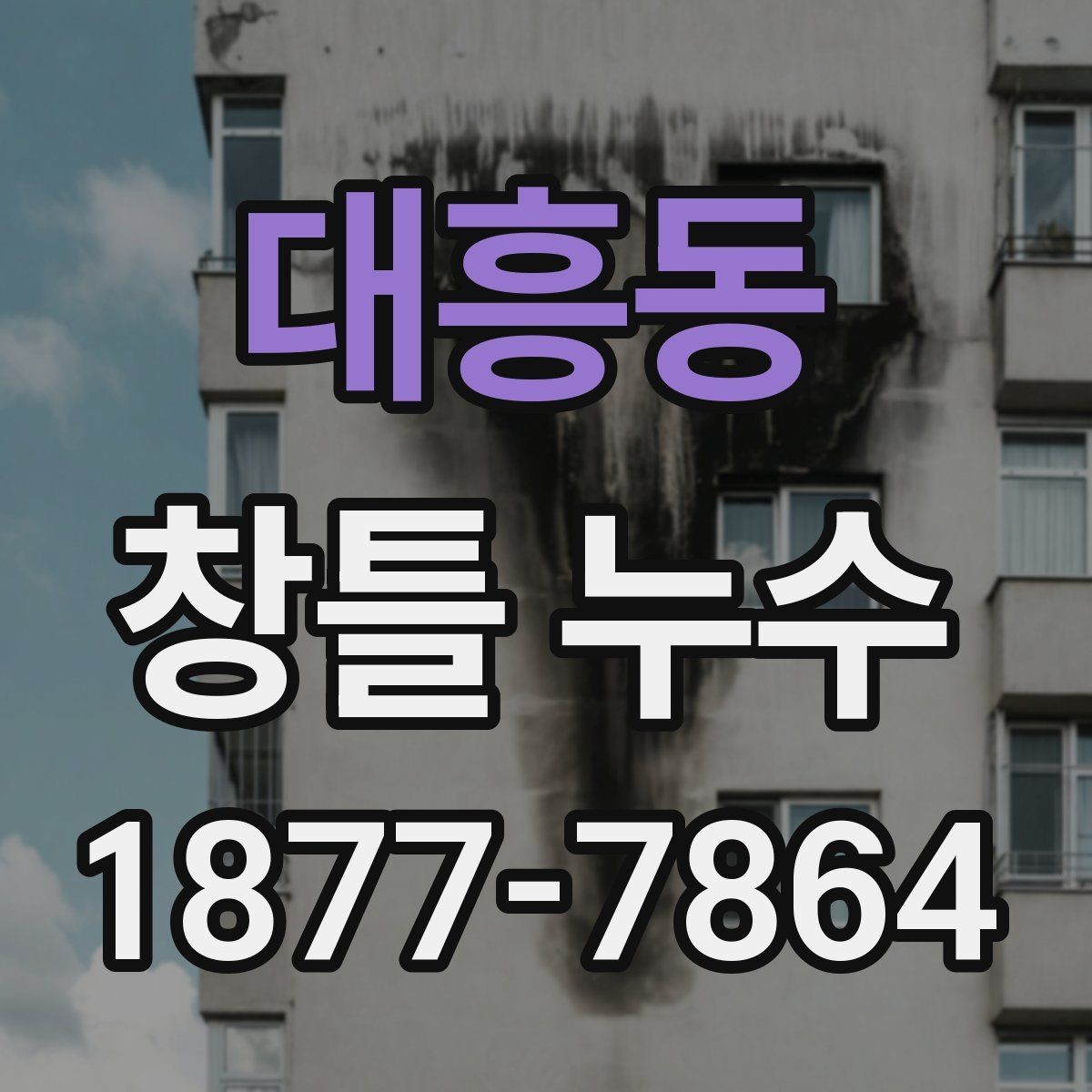 대흥동 창틀 누수 창호 주변 곰팡이 원인과 점검