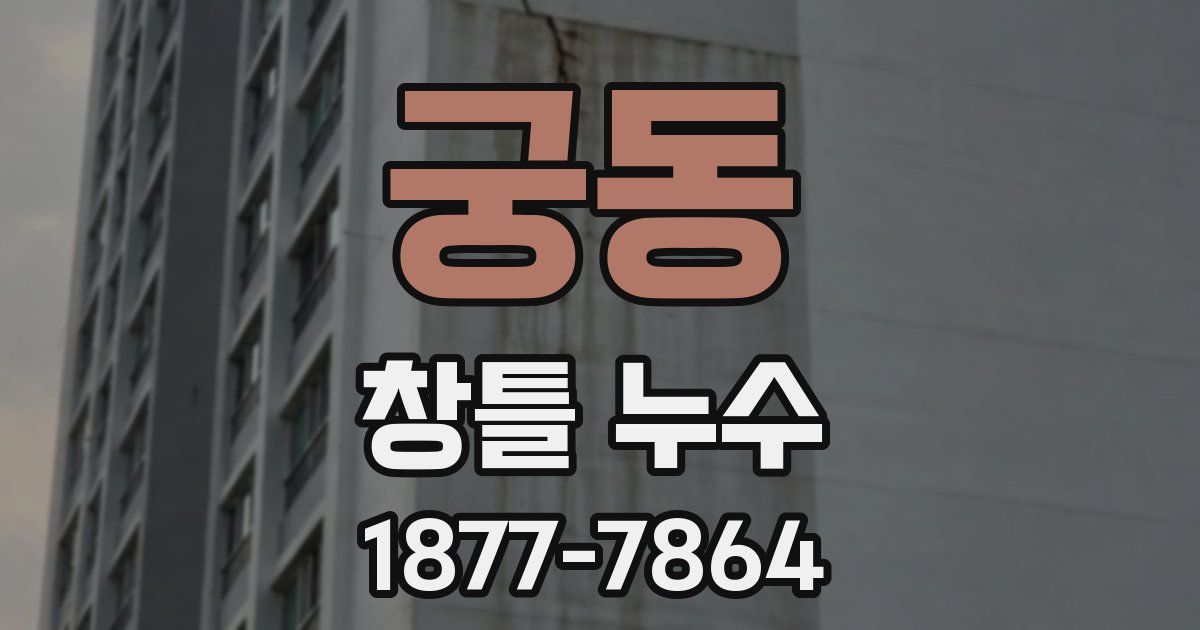 궁동 창틀 누수