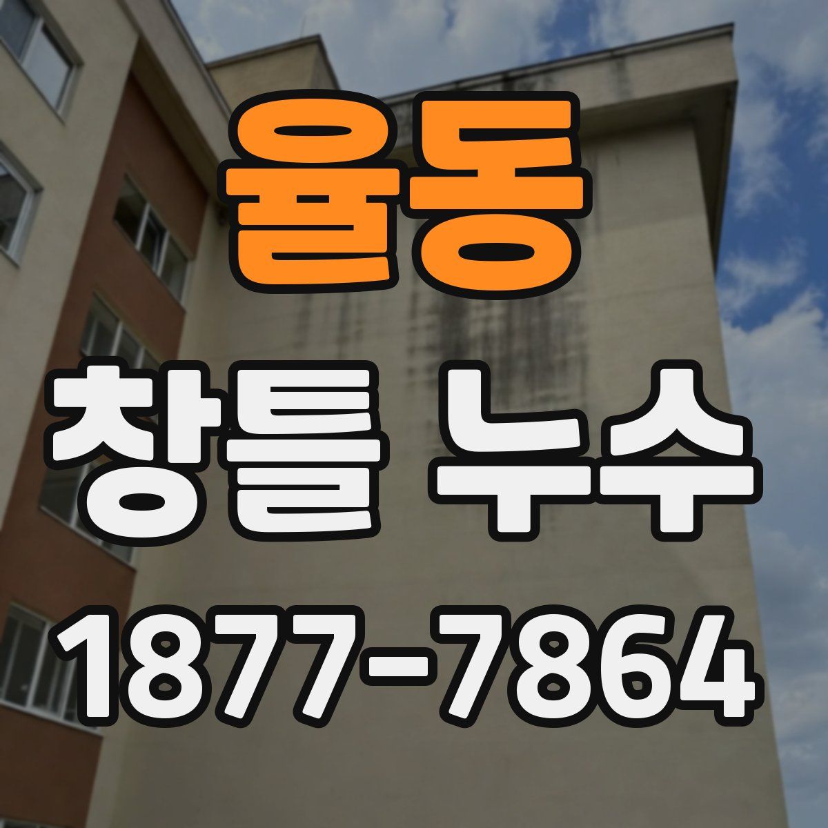 율동 창틀 누수