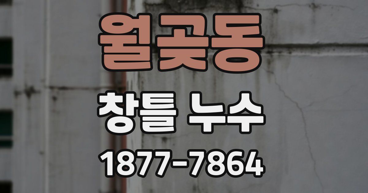 월곶동 창틀 누수