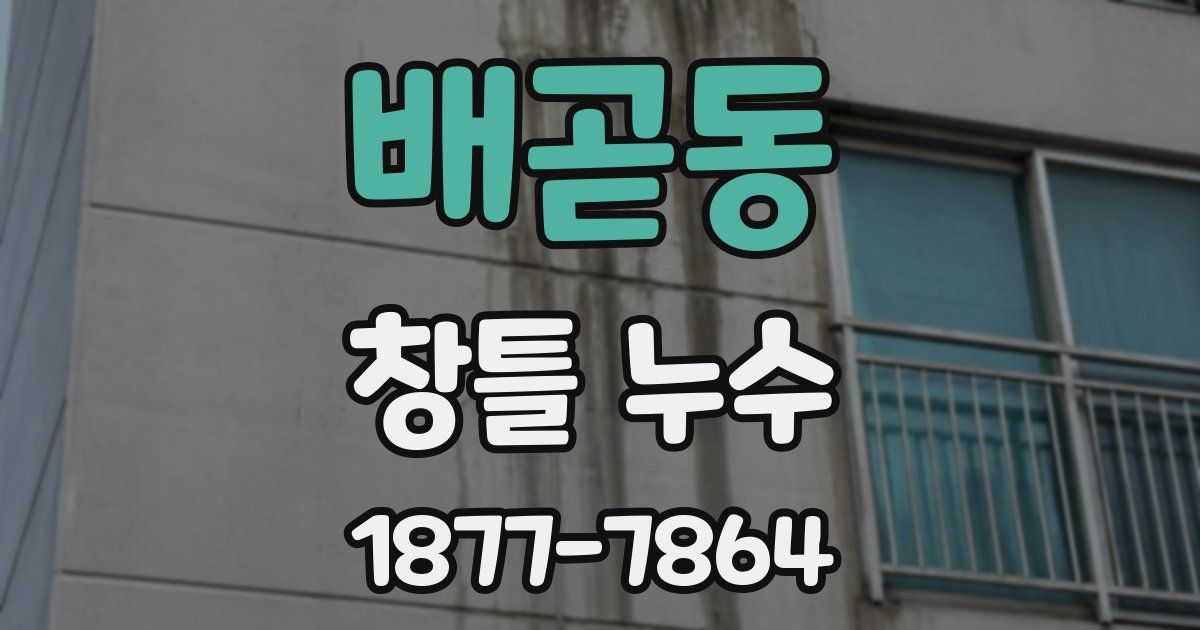 배곧동 창틀 누수
