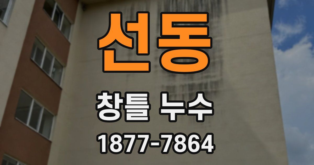 선동 창틀 누수