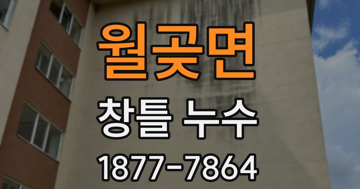 월곶면 창틀 누수