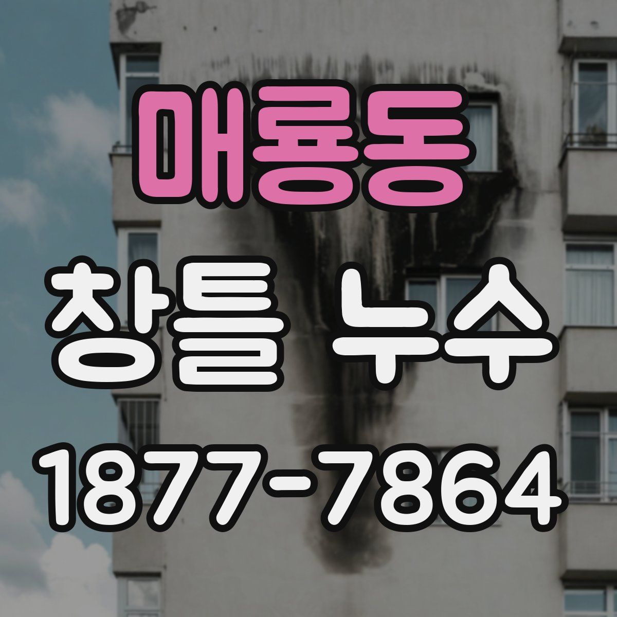 매룡동 창틀 누수
