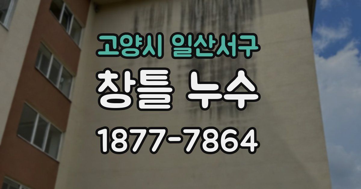 고양시 일산서구 창틀 누수