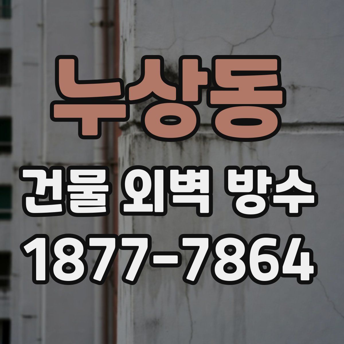 누상동 건물 외벽 방수