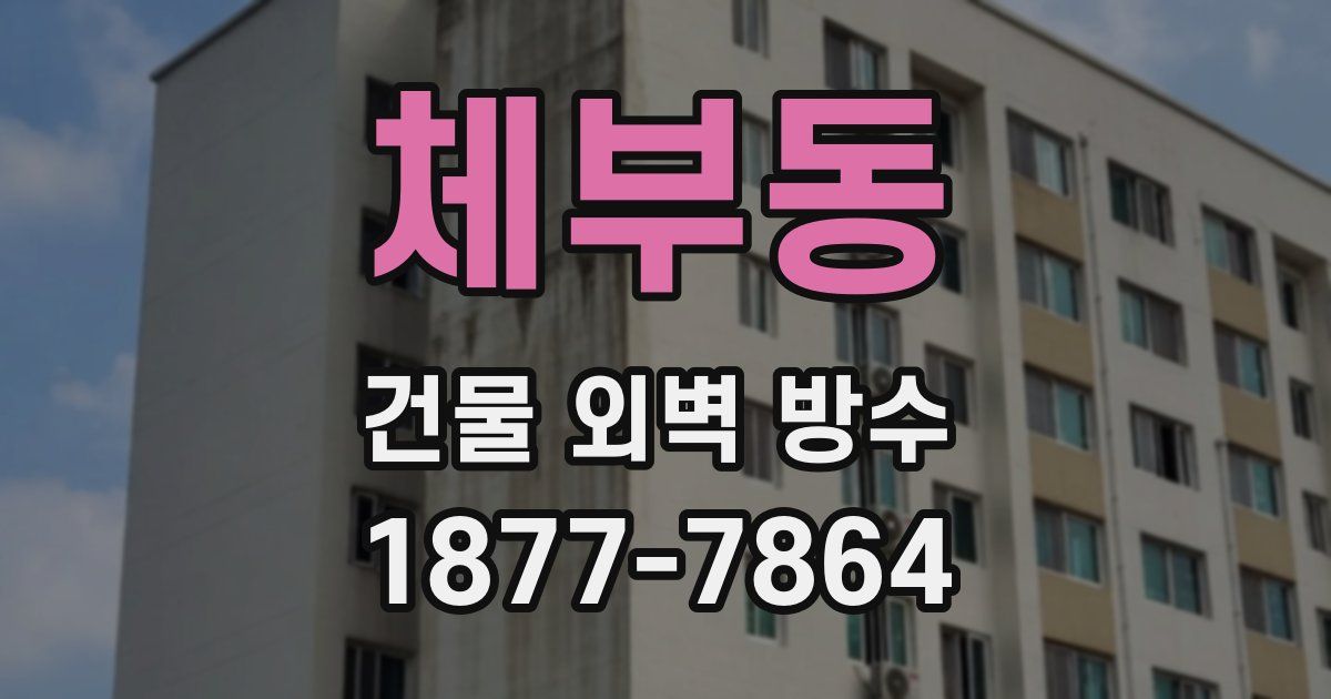 체부동 건물 외벽 방수
