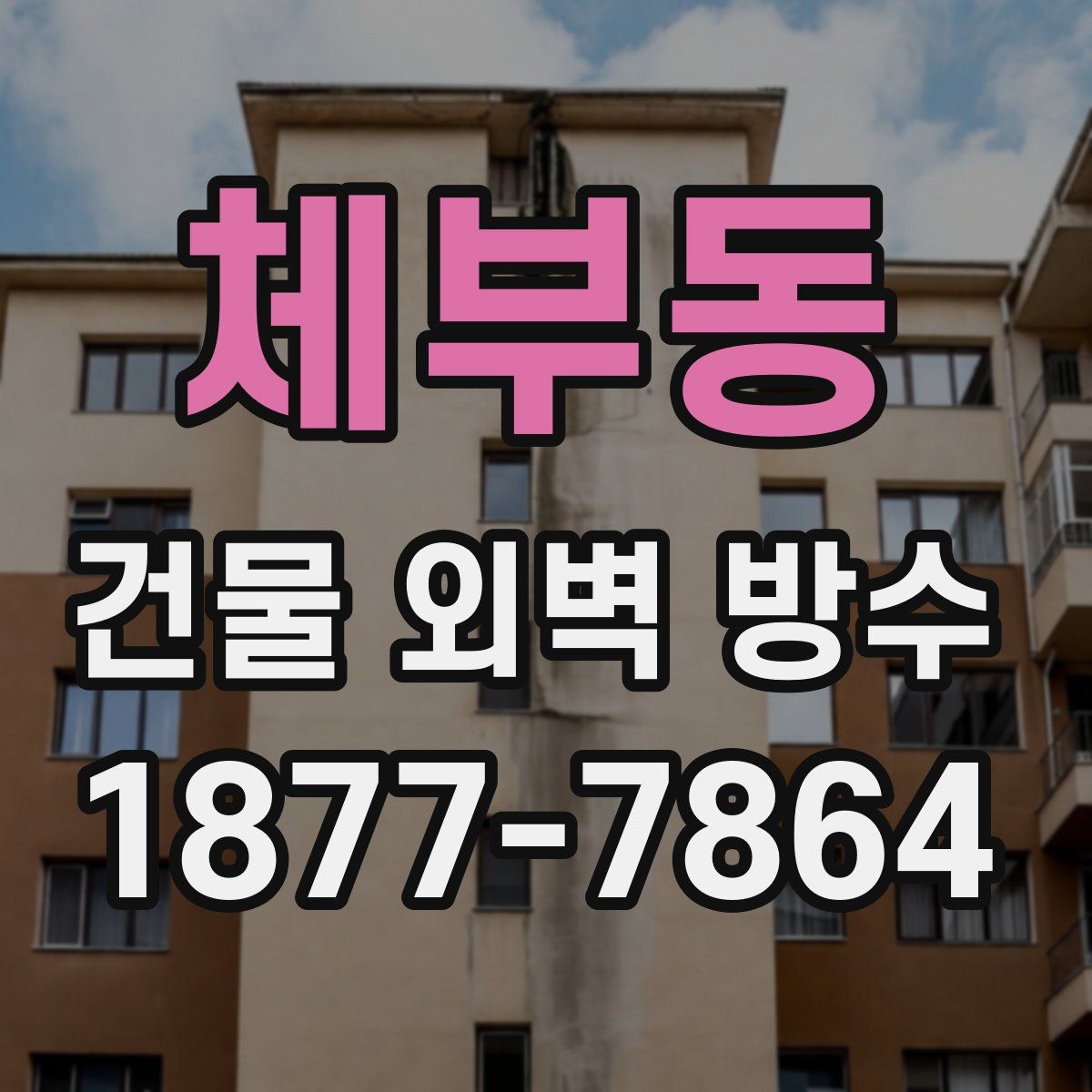 체부동 건물 외벽 방수
